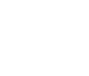 Alternative Logo Signsmedia in weiss